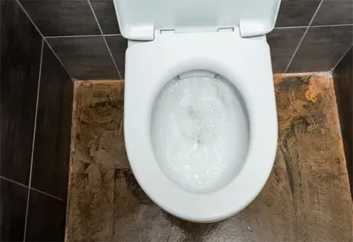 Desentupimento de Vaso Sanitário em Franco da Rocha